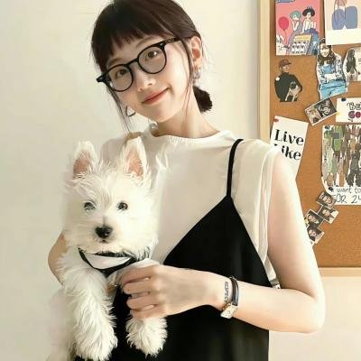 维京人埃里克